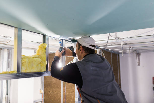 Best Insulation for New Construction  in Eagle, NE
