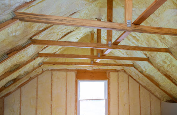 Best Best Insulation Companies  in Eagle, NE
