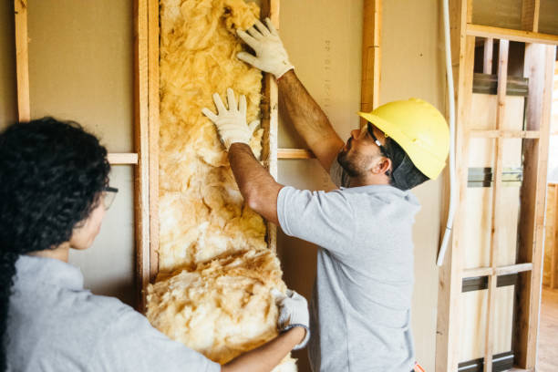 Best Spray Foam Insulation  in Eagle, NE