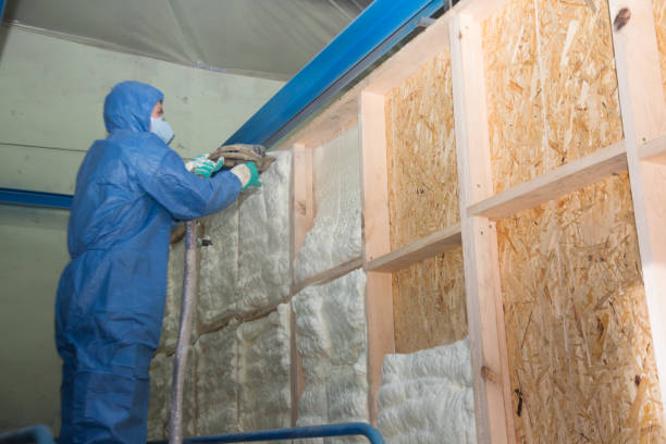 Insulation for New Construction in Eagle, NE