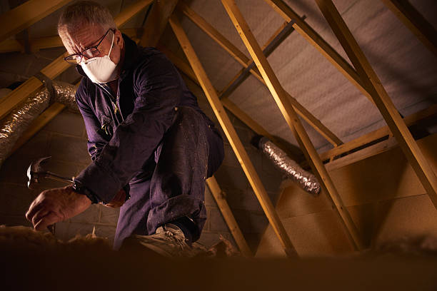Best Soundproof Insulation Installation  in Eagle, NE
